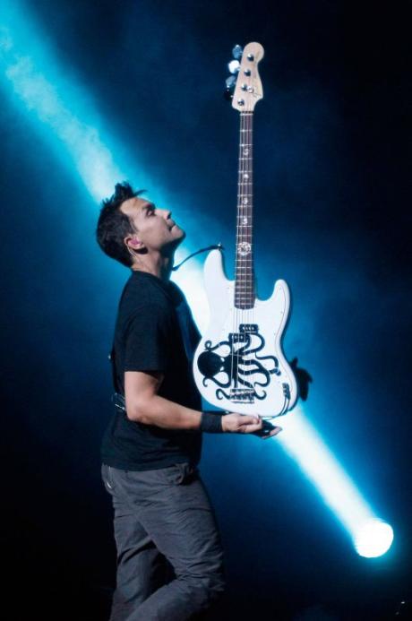 Bass profil - Mark Hoppus