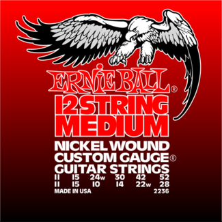 Ernie Ball: 12-String Medium 2236